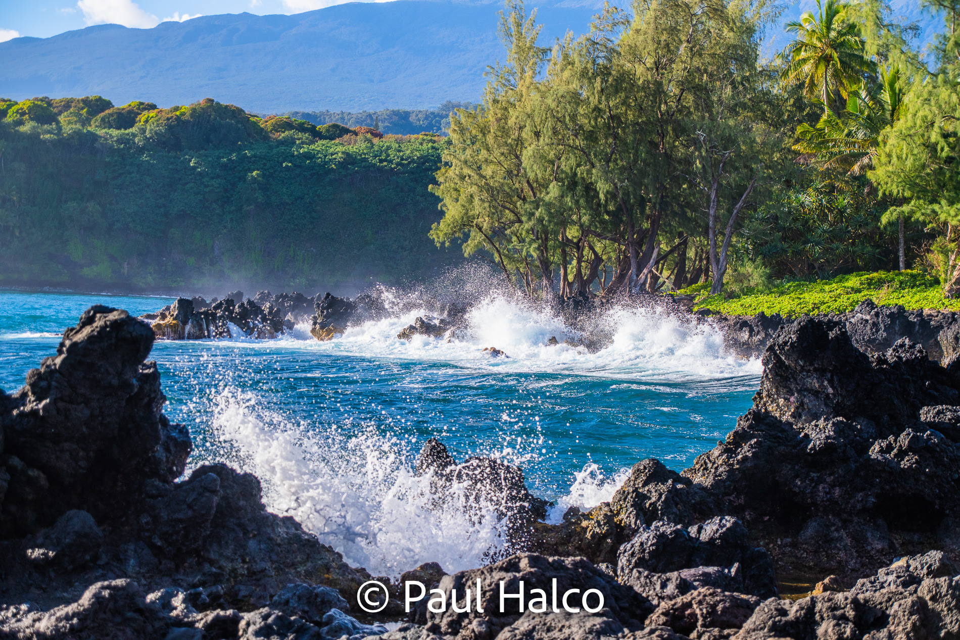 Paul Halco - Hawaii-5